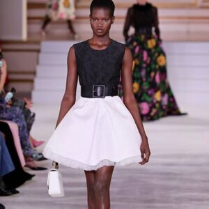 RUNWAY. $3270 NWOT Carolina Herrera Mini Dress Size: 2